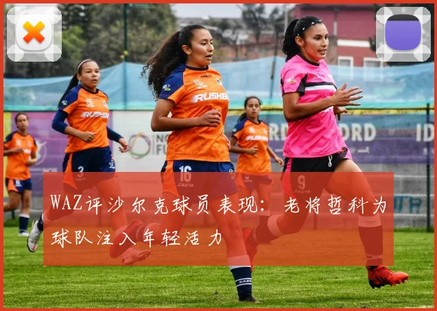 WAZ评沙尔克球员表现：老将哲科为球队注入年轻活力