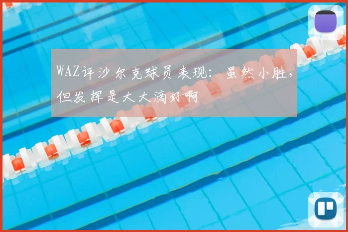 WAZ评沙尔克球员表现：虽然小胜，但发挥是大大滴好啊