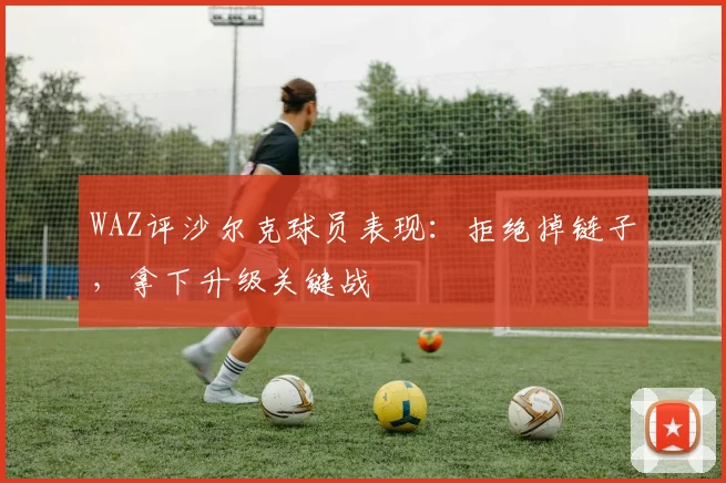 WAZ评沙尔克球员表现：拒绝掉链子，拿下升级关键战