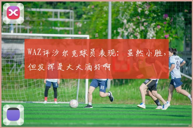 WAZ评沙尔克球员表现：虽然小胜，但发挥是大大滴好啊