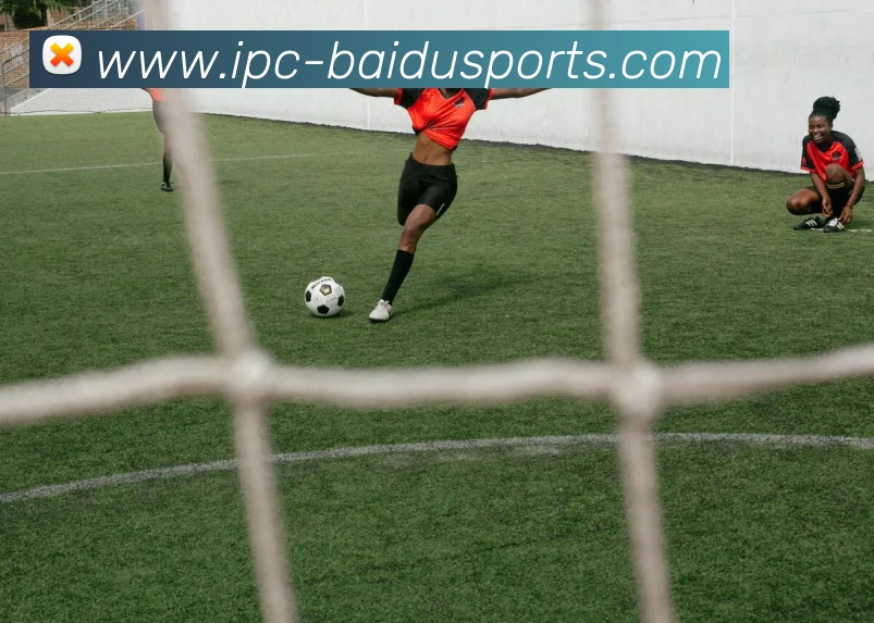 百度体育APP 封面图